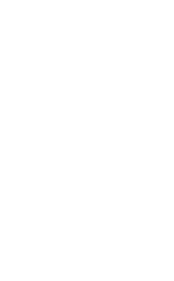 Ragnarboard